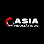Asia Neumaticos